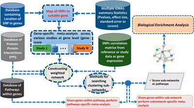 Dissecting Meta-Analysis in GWAS Era: Bayesian Framework for Gene/Subnetwork-Specific Meta-Analysis